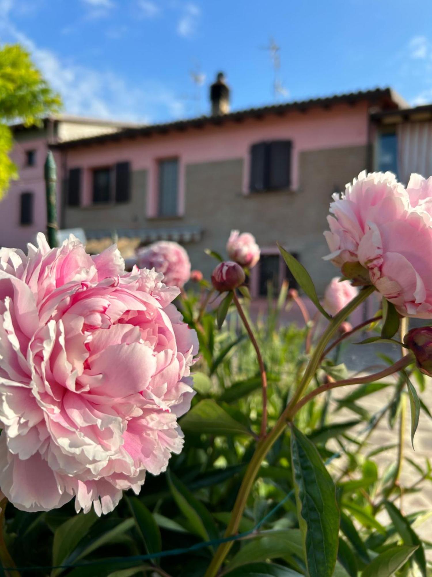 Apartamento Ca Rosa Poviglio  Exterior foto