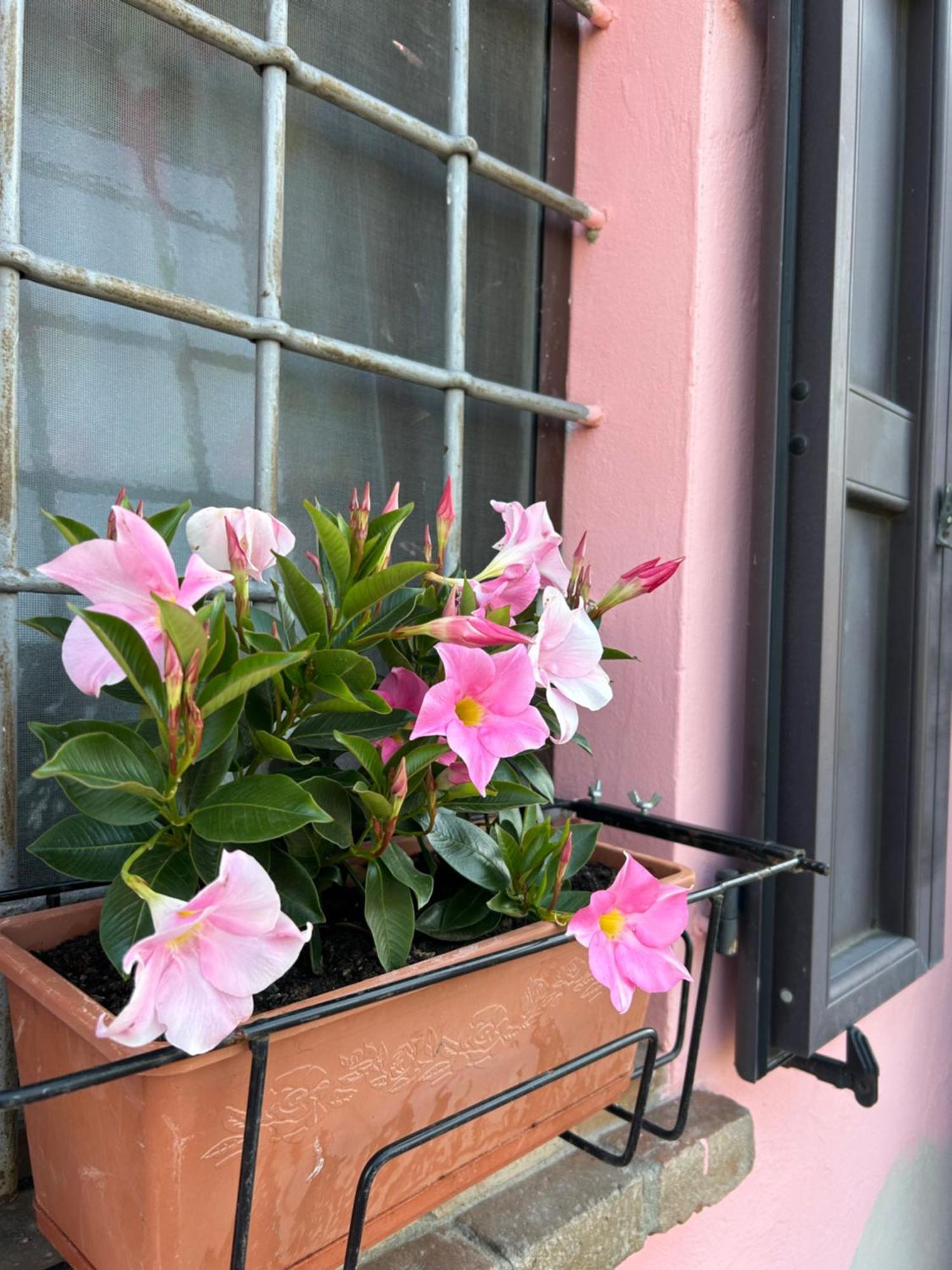 Apartamento Ca Rosa Poviglio  Exterior foto